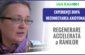 Mariana observa o regenerare rapida a ranilor dupa Reconectarea axiotonala